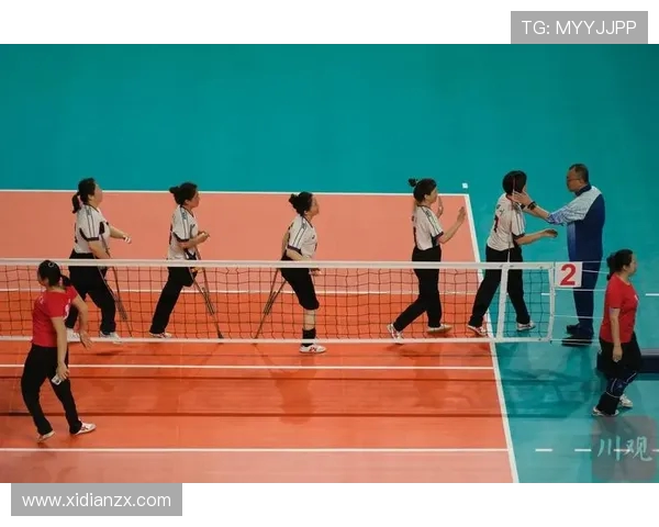 南京排球队反击战术解析与实战应用探讨