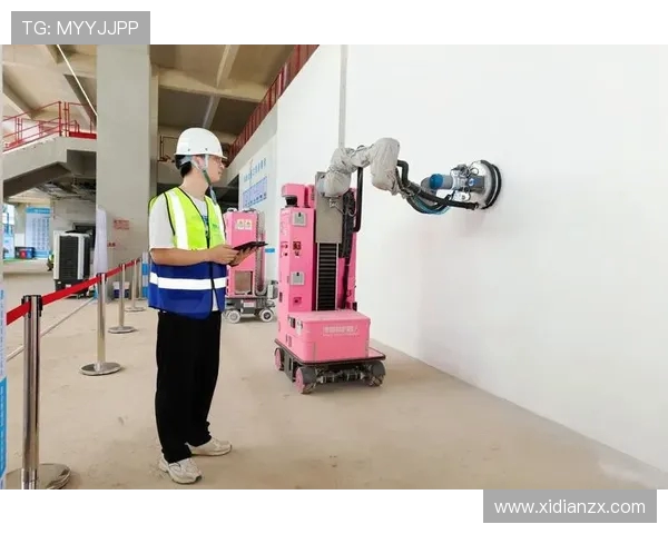 重庆极限运动队状态对比深度解析与未来发展趋势探讨